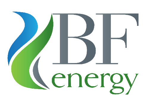 B.F. Energy Srl